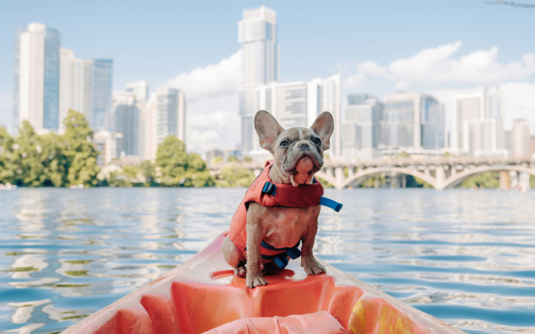 Pet Friendly Travel Guide